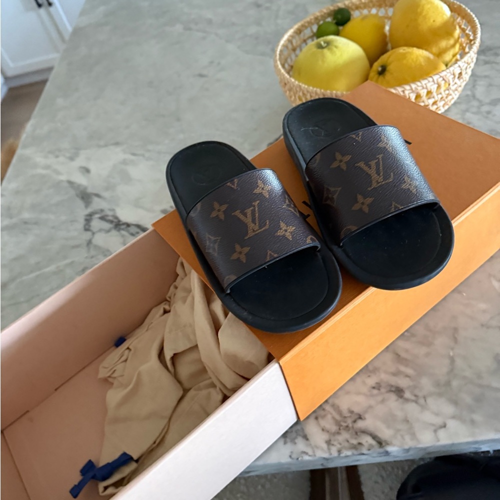 Louis Vuitton Black and Brown Sandals